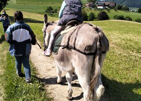 Eselreiten