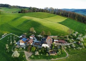 Frühling
