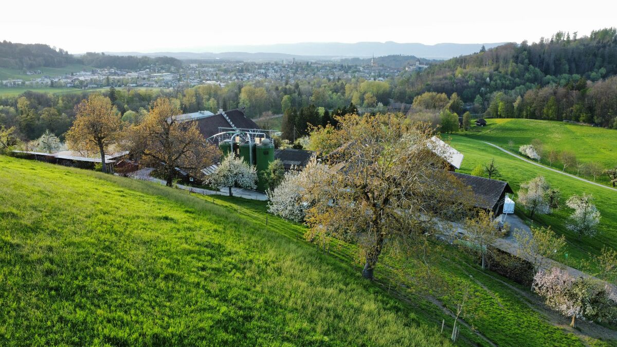 Frühling auf dem Hof