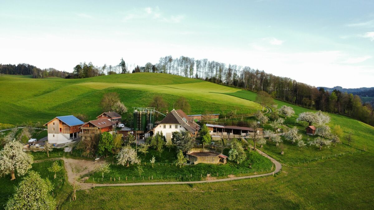 Bauernhof Bättwil
