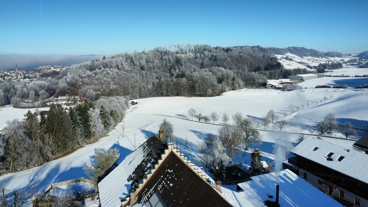 Bauernhof Bättwil