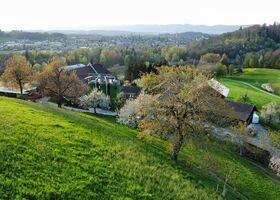 Frühling